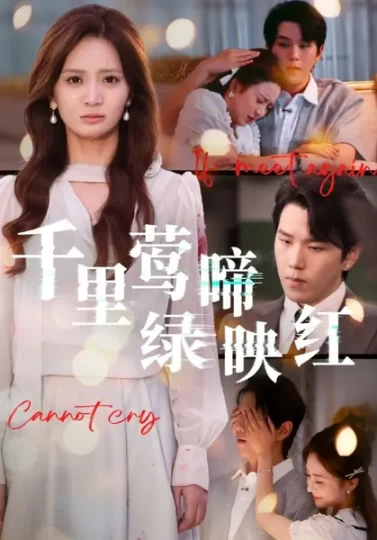 千里莺啼绿映红封面图